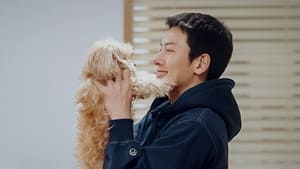 AldUisR7Pp5FeZmlQsUmwf0k26K